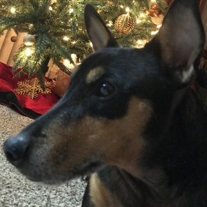 Meet your Posher, Austin